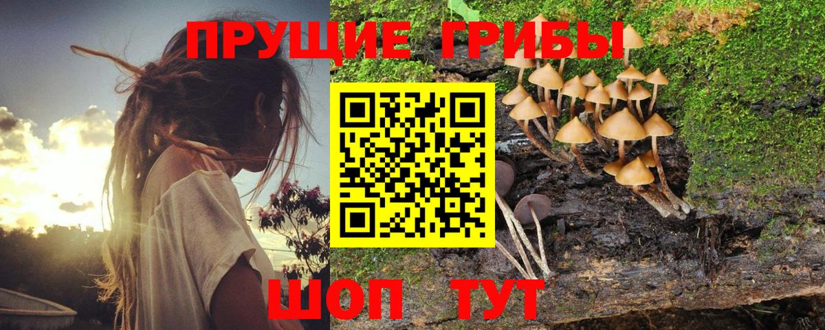 Галлюциногенные грибы Psilocybe Севастополь