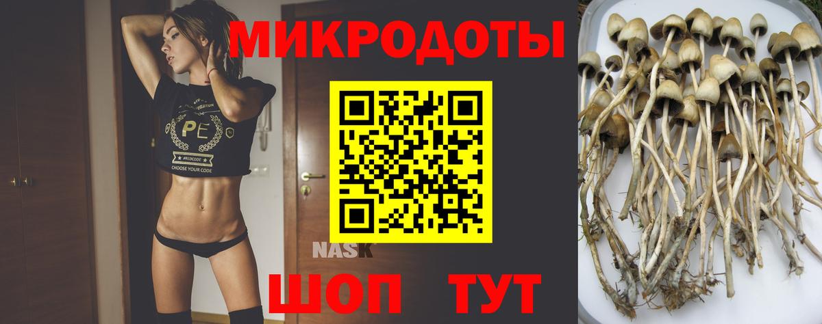 Галлюциногенные грибы Psilocybe  Вход с VPN  Севастополь 